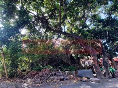 近高鐵503坪大建地視意圖