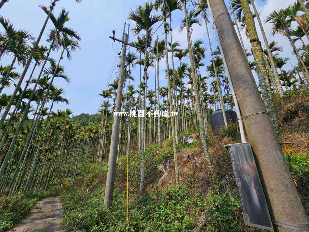 南投中寮農地視意圖